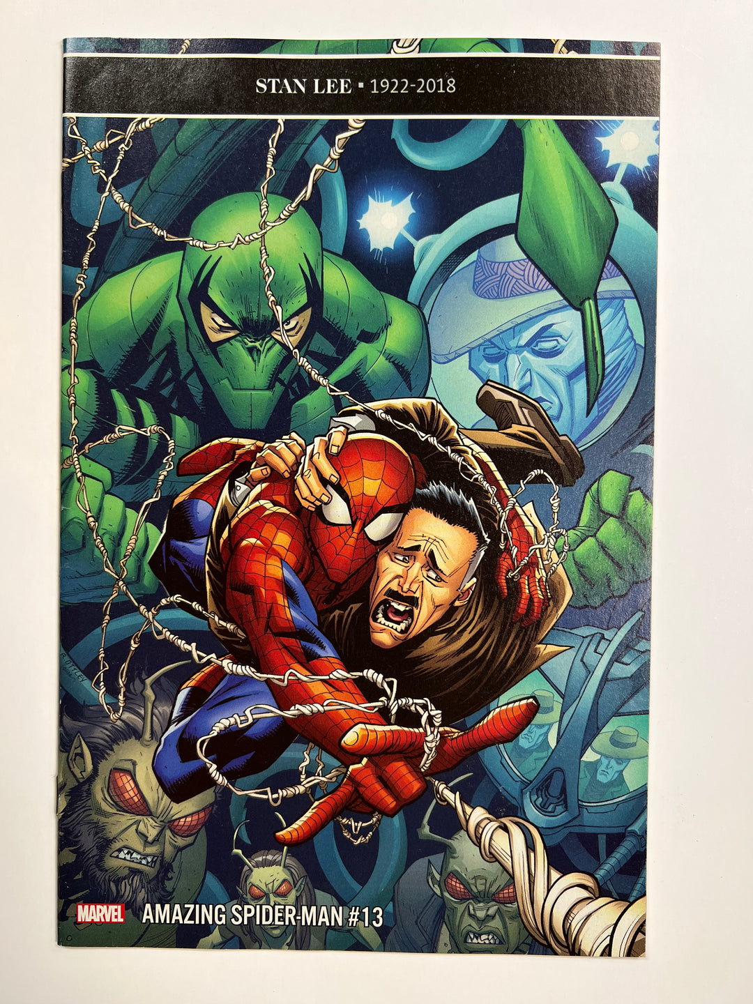 Amazing Spider-Man #13 Marvel 2019 VF