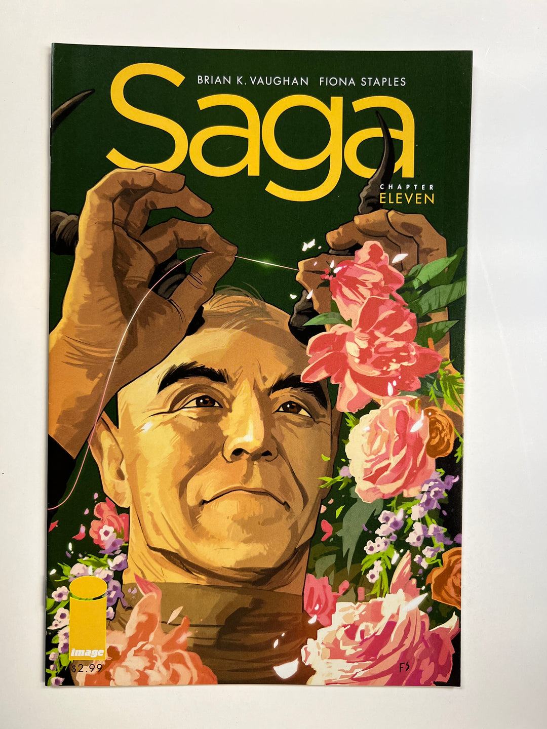 Saga #11 Image 2013 VF